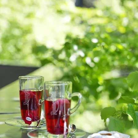 Отель La Boutique 4*