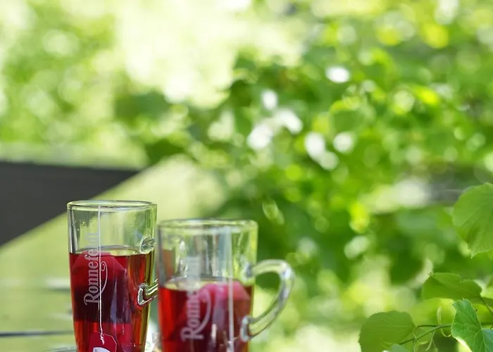 Hotel La Boutique 4*